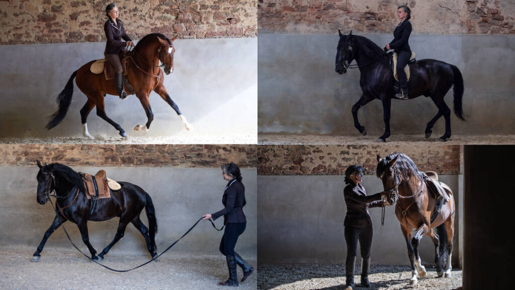 Schritt für Schritt kompakt 3