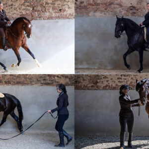 Schritt für Schritt kompakt 3